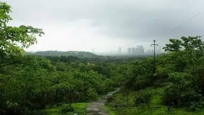 Mumbai's Aarey Colony to Host Massive Tree Plantation Drive