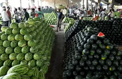 No Adulteration Found in Watermelon Samples in Chandigarh: Food Safety Officials