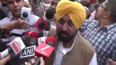 Punjab CM Mann Meets President Murmu Over AAP MPs' Defection to BJP