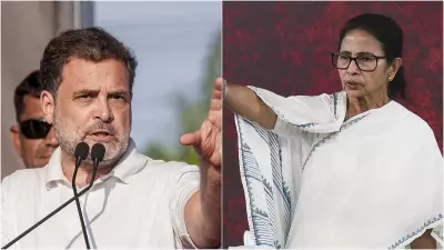 Rahul Gandhi and Arvind Kejriwal Question BJP's Electoral Victories