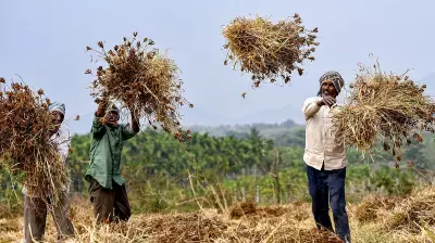 Rising Risks of a Changing Monsoon in India