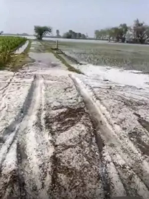 Severe Thunderstorms and Hailstorms Wreak Havoc in North India
