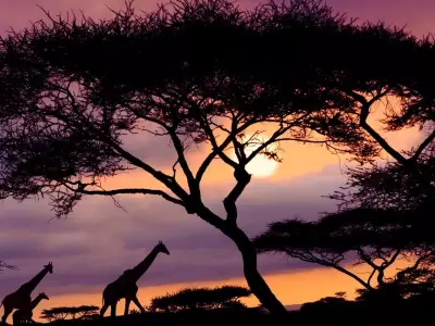Smart Travel Tips for India's Busy Holiday Season: Plan Better, Stress Less