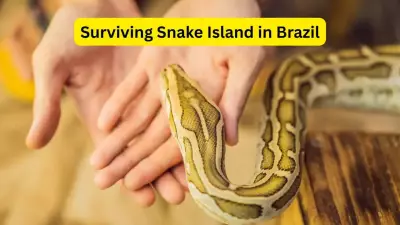Snake Island Brazil: 5 Disturbing Facts About World's Most Dangerous Island