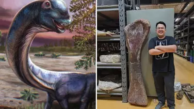 Southeast Asia's Largest Dinosaur Discovered in Thailand After 113 Million Years