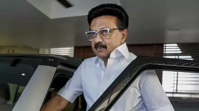 Stalin Offers DMK Non-Interference for 6 Months if Vijay Forms TN Govt