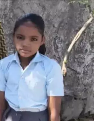 Stray Dogs Maul 9-Year-Old Girl to Death in Rajasthan's Bundi District
