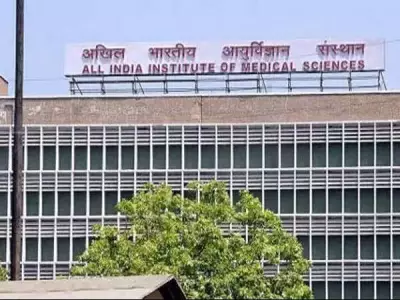 Supreme Court Seeks AIIMS Expert Opinion on Brain Death Certification Tests