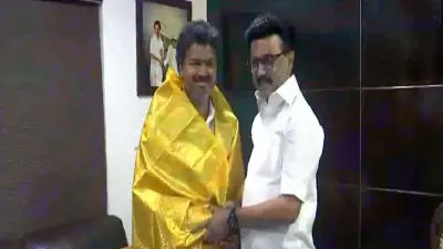 Tamil Nadu CM Vijay Calls on DMK Chief Stalin in First Meet Post-Election
