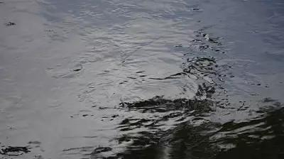 Three Including 10-Year-Old Drown in Separate Incidents in Haveri