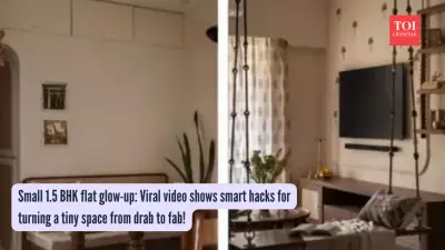 Tiny Flat Transformed Into Dreamy Haven With Smart Decor Tricks