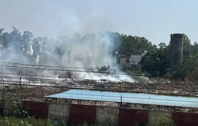Toxic Waste Burning Continues Unabated Inside PAP Complex Despite Complaints