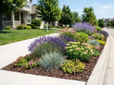 Transform Hellstrips With Drought-Tolerant Plants for Low-Maintenance Curb Appeal