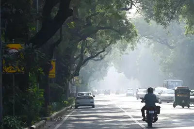 Tree Planting Alone May Not Cool Indian Cities Effectively: IIT-Gn Study