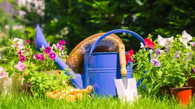 UK Garden Rules: 7 Surprising Things You Cannot Do in Your Garden