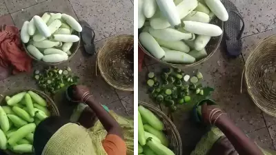 Viral Video Shows Woman Painting Cucumbers Green at Bihar Railway Station