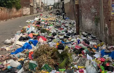 Waste Woes Compound in Malerkotla Amid Sanitation Workers Stir