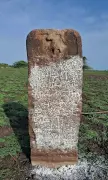 13th-Century Tiger Inscription Found in Tamil Nadu's Sivaganga District