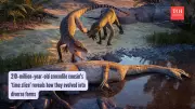 210-Million-Year-Old Crocodile Cousins Found Fossilized Side by Side