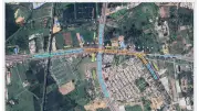 22 Tree Species Identified for Clearance at Mysuru Ring Road Flyover Site