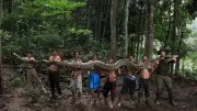 23-Foot Python 'Ibu Baron' Breaks Record as Longest Wild Snake
