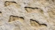 23,000-Year-Old Footprints Rewrite Story of Humans in Americas