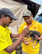 3,430 Dogs Vaccinated in Anti-Rabies Drive Across Kodai Hills