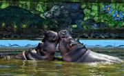 35-Year-Old Hippopotamus Deva Dies at Mumbai's Byculla Zoo