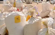 5 Arrested with 10 kg Poppy Husk in Jalandhar Police Operation