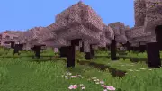 5 Best Minecraft Seeds for Beginners in 2026