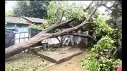 5 Killed as Severe Thunderstorm Wreaks Havoc in Bihar's Bhagalpur