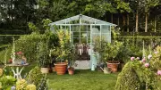 7 British Garden Trends to Transform Your Outdoor Space in 2026