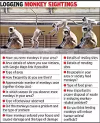 Ahmedabad Launches First Monkey Census to Tackle Rising Conflicts