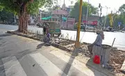 Ahmedabad Replaces Paver Blocks with Trees at 100 Junctions to Combat Heat