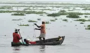 AI-Powered Monsoon Forecast System Launched by IMD for Farmers