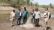 AI Surveillance System Helps Nab Illegal Fisher in Pench Tiger Reserve