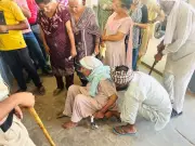Amargarh Leads Malerkotla with 80.33% Voter Turnout