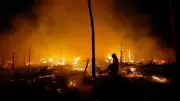 Amazon Degradation Threatens Gains in Deforestation Reduction