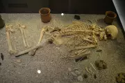 Amesbury Archer: Bronze Age Gold Treasure Found Near Stonehenge