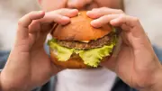Amsterdam Bans Ads for Meat, Petrol Cars, and Cruises to Fight Climate Change