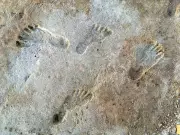 Ancient Footprints in New Mexico Rewrite History of Humans in Americas
