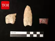 Ancient Stone Tools Reveal Ice Age Megafauna Hunting in Eastern US