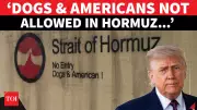 Anti-America Graffiti in Tehran: 'Dogs & Americans Banned' from Strait of Hormuz