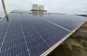 AP Power Utility Achieves 78,250 Rooftop Solar Installations, 201 MWp Capacity