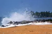 Arabian Sea Marine Heatwaves Intensify Due to Climate Change, INCOIS Data Shows