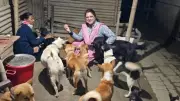 Assam's Prapti Foundation rescues over 1,500 animals in grassroots welfare drive