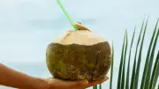 Beat Summer Heat with Coconut Water: Why It Works So Well