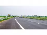Bee Corridors Along Delhi-Amritsar-Katra Expressway to Be Developed This Monsoon