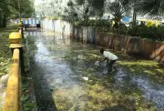 Bengaluru KR Circle Underpass Floods Again, 3 Years After Drowning Death