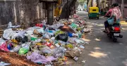 Bengaluru's 4-bin waste plan faces early hurdles amid system gaps